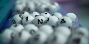 Chiến lược nuôi lô lâu dài